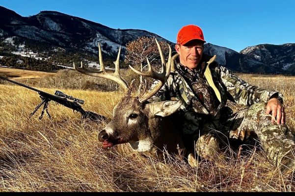Mule deer buck with hunter in a mountain meadow