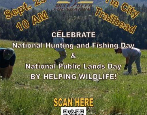 Pole Mountain wildlife fence volunteer day event flyer