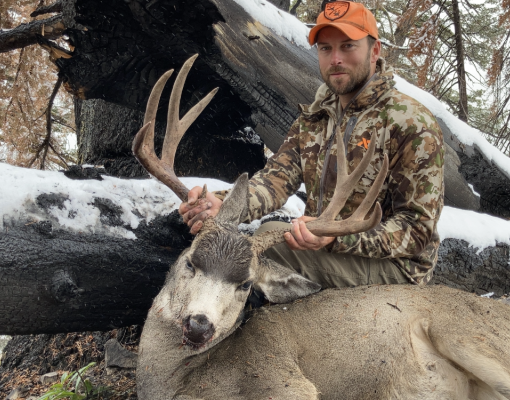 Hunter posing with a mule deer buck in a snowy forest setting.