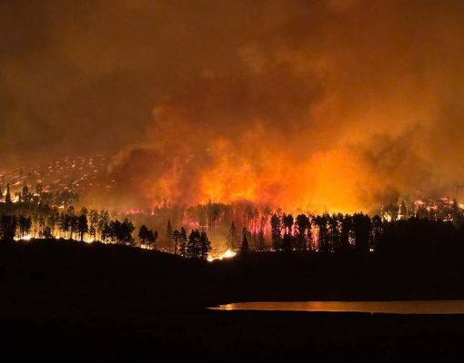Wildfire burning in a forest at night with smoke and flames