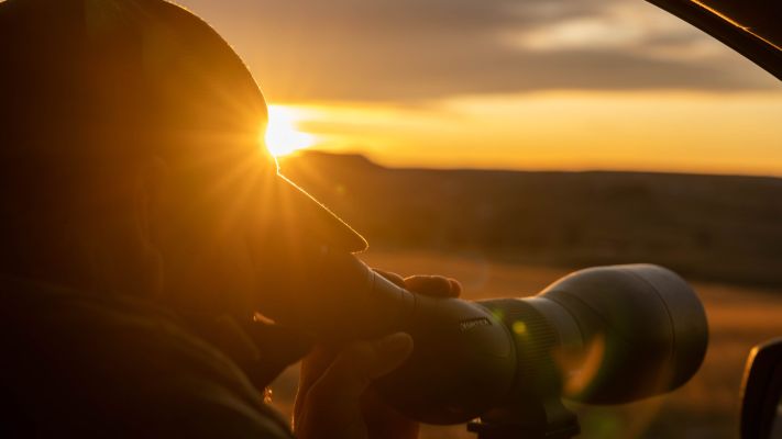 A wildlife observer using a spotting scope at sunset.