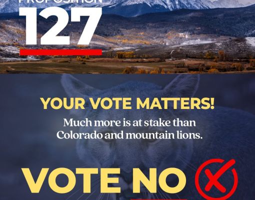 Campaign graphic for Proposition 127 with mountain scenery and mountain lion closeup.