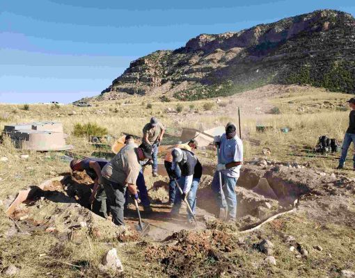 Volunteers engaging in habitat restoration work at a site.
