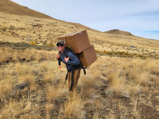 Volunteer carrying boxes in a hillside landscape