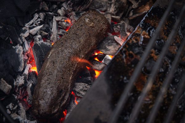 Cooked venison over glowing charcoal ashes.