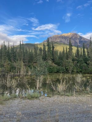 Mountain view with forest and water's edge under a blue sky.