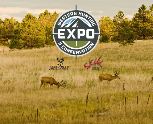 Mule deer in a grassy field with Western Hunting Expo logo