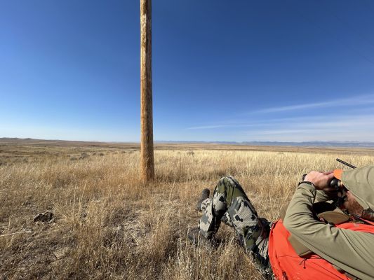 Hunter observing nature in open plains under blue sky