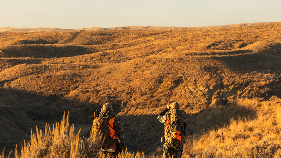 Hunters scouting a sagebrush hillside during golden hour.