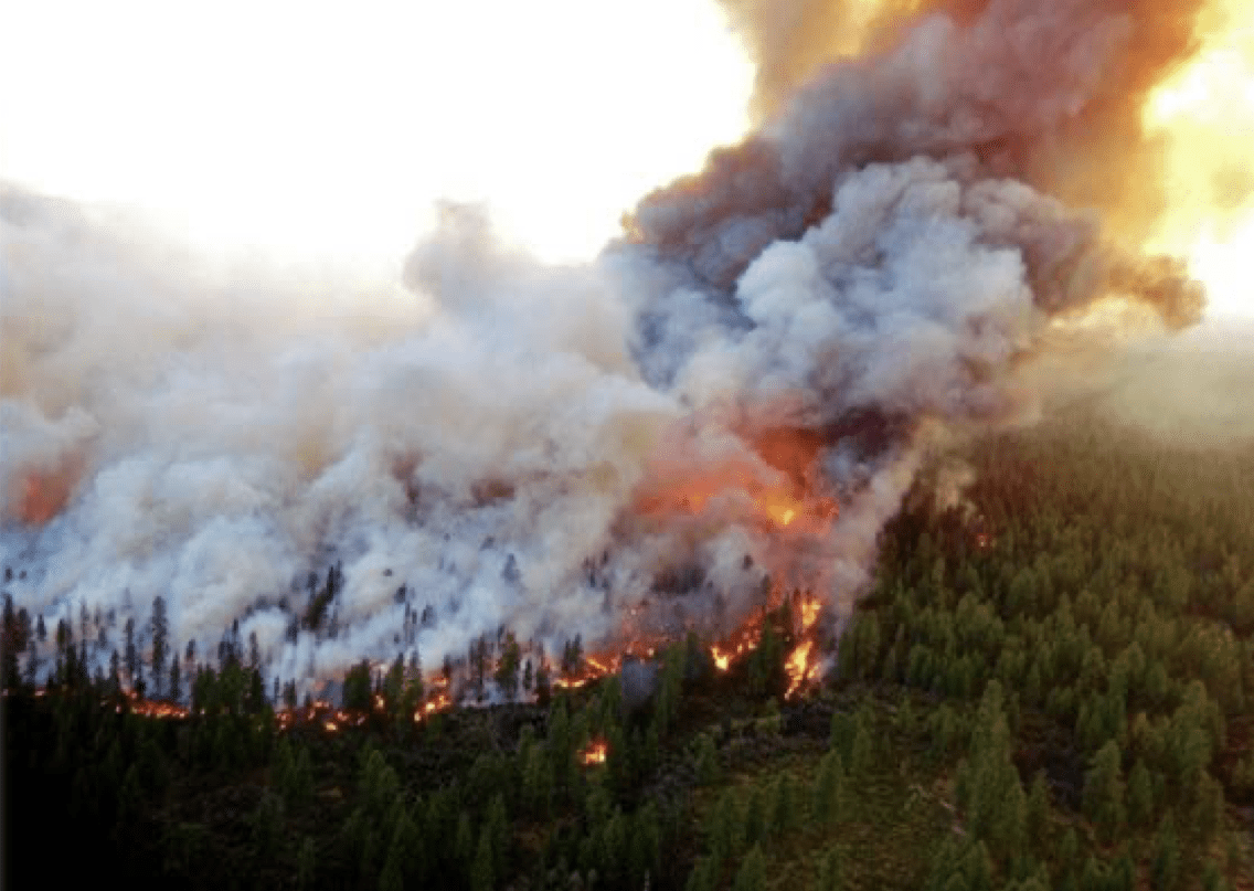 Wildfire burning through a forest area with smoke and flames.