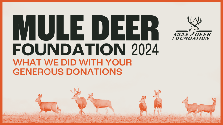 Mule Deer Foundation 2024 theme on donations impact