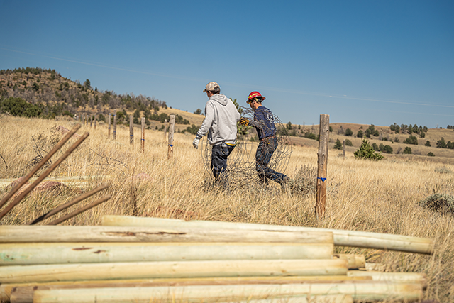 Two volunteers working on habitat restoration in a sagebrush area.