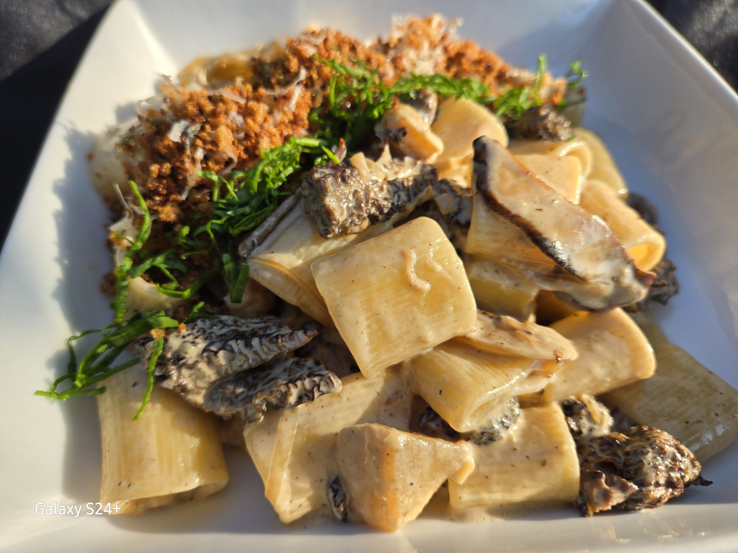 Delicious pasta dish featuring morel mushrooms and herbs.