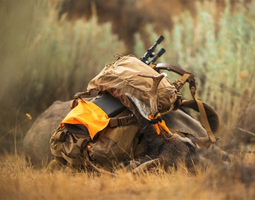 Hunting gear and mule deer in an outdoor setting