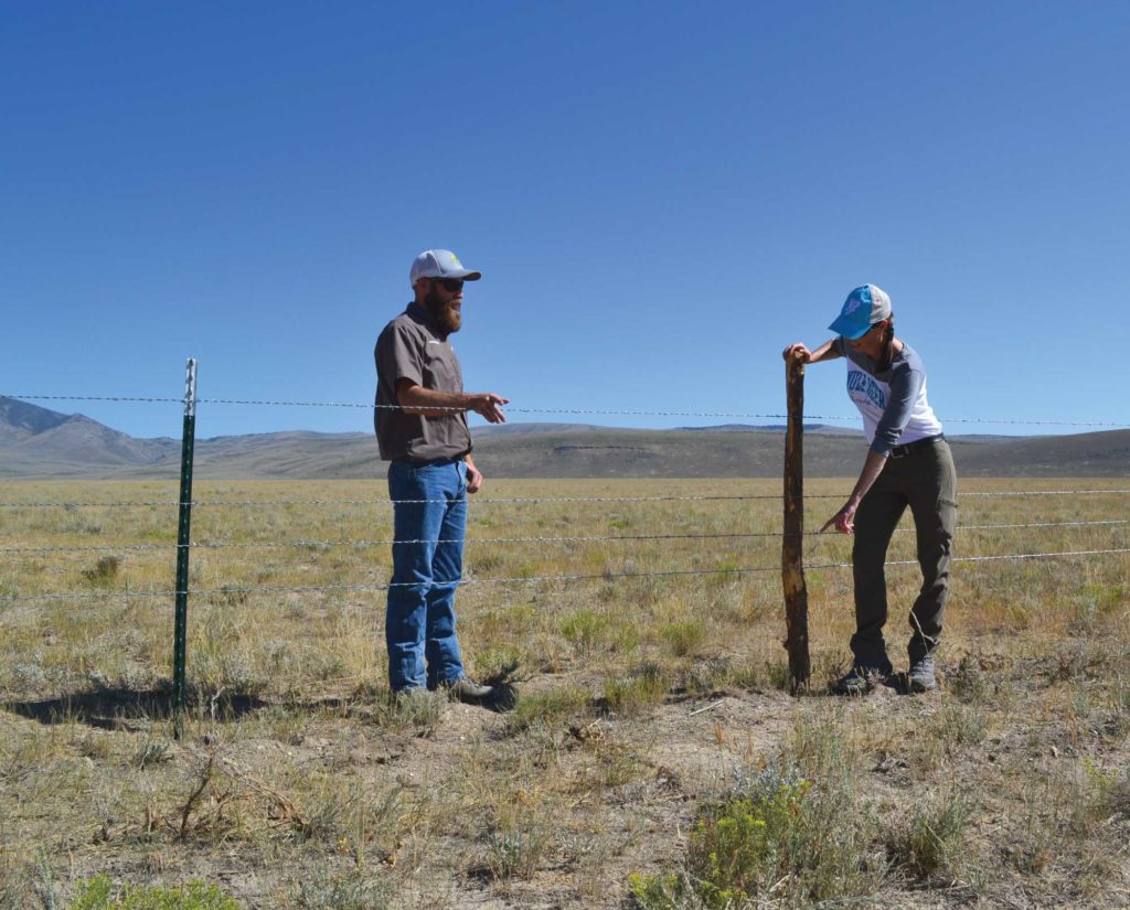 Biologist Jessie Shallow works on a migration fence in Idaho. 