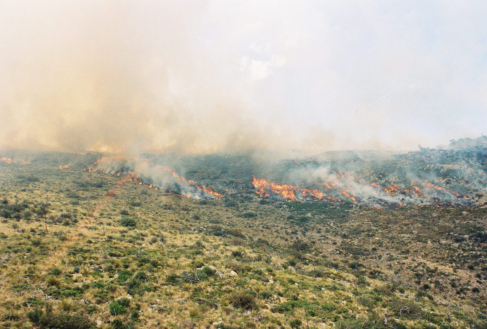 Wildfires caused an estimated $13 billion in 2020