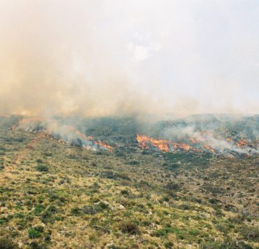 Wildfires caused an estimated $13 billion in 2020