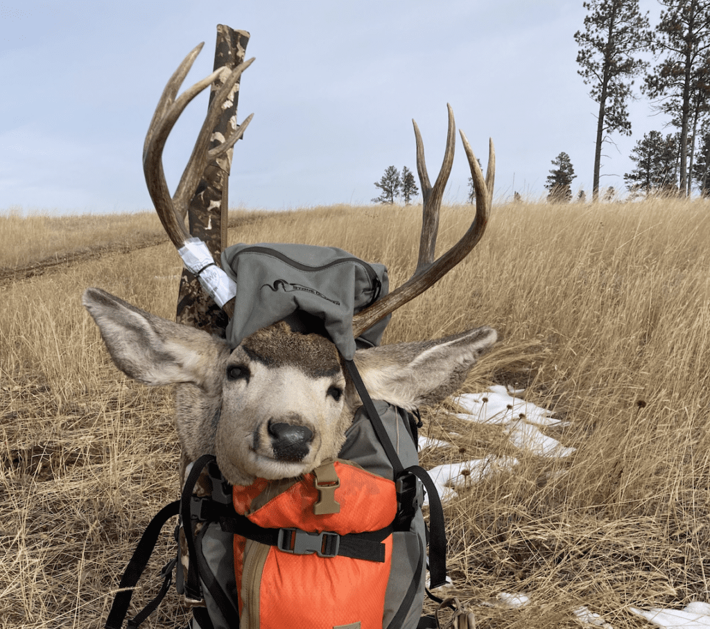 Mule Deer pack out Photo Credit: Trevor Hubbs