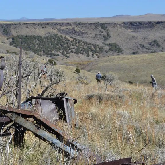 Volunteers engaging in habitat restoration in a grassy landscape.