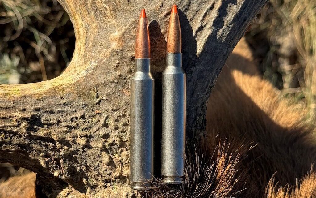 Two rifle cartridges displayed on a deer antler
