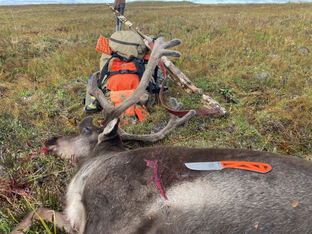 “My Perfect Mule Deer Rifle”