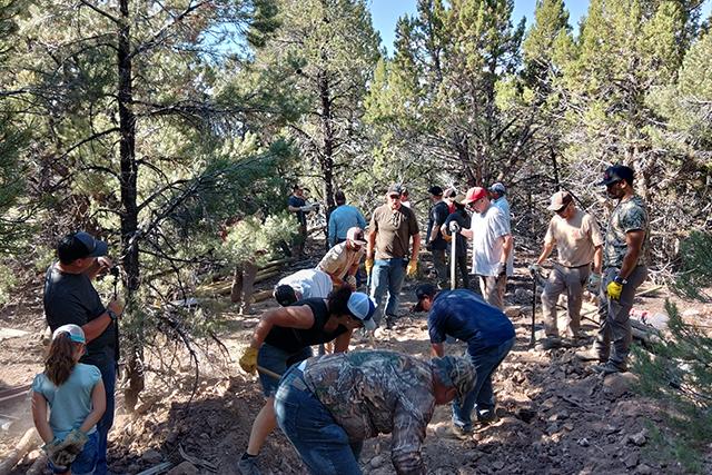 Group of volunteers engaged in conservation work in a forest.