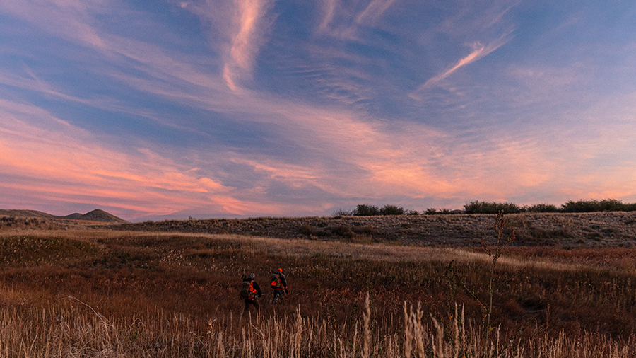 Two hunters walking through a grassy field under a colorful sunset sky.