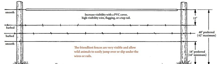 Diagram of wildlife-friendly fence design for safer animal movement.