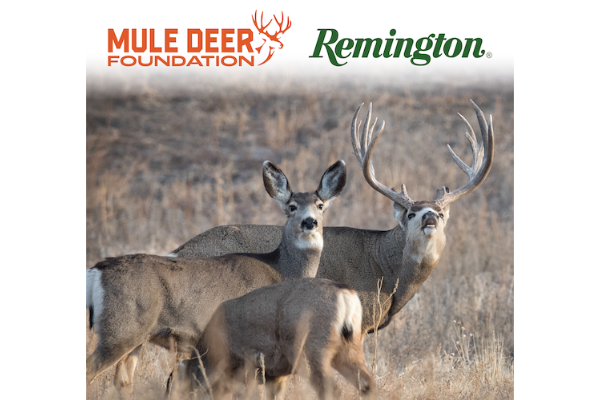 The Mule Deer Foundation (MDF) is proud to announce the continuation of its long-standing partnership with Remington.