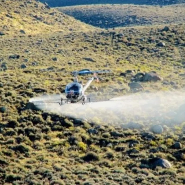 Helicopter applying herbicide on rangeland for habitat restoration.