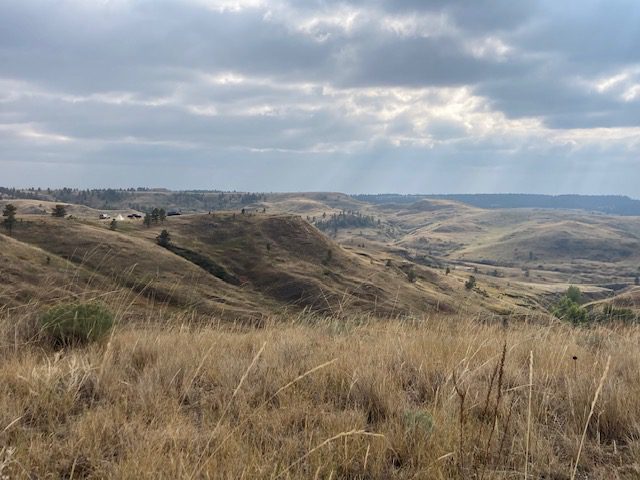 Central Montana Prairie Photo Credit: Trevor Hubbs