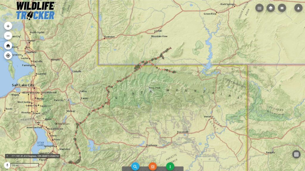 Wildlife Tracker showing doe mule deer visit to Burnt Beaver Project