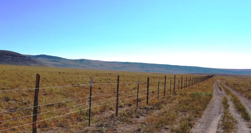 Fenced pasture with mountains in the background under a clear blue sky