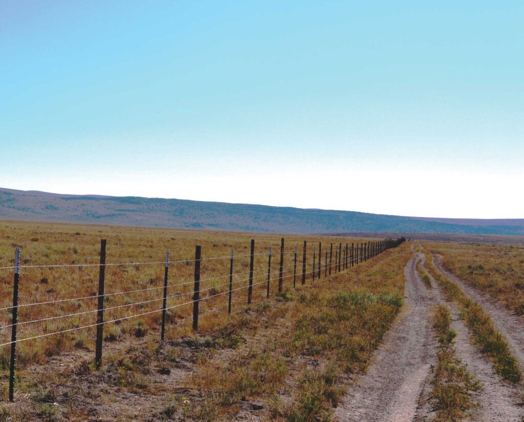 Examining wildlife friendly fencing concepts