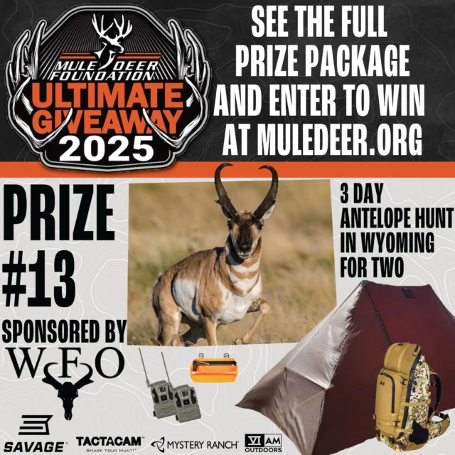 We’re counting down to the Ultimate Giveaway drawing by highlighting a prize package each week. This week is prize package #13, The Wyoming Antelope Hunt for Two! The lucky winner and their guest will each receive a rifle from @savagearms and get to hunt antelope in Wyoming. The prize package, sponsored by Wyomings Finest Outfitters, is designed for one adult and one youth. This guided hunt includes meals, lodging and adventure, providing the perfect opportunity to create memories while introducing hunting to the next generation. Prize package #13 also includes products from premium brands like @savagearms, @mysteryranch, @tactacam, @viam_outdoors and more! Get all the details for the Ultimate Giveaway 2025 prize packages and enter to win by clicking the link in our bio!