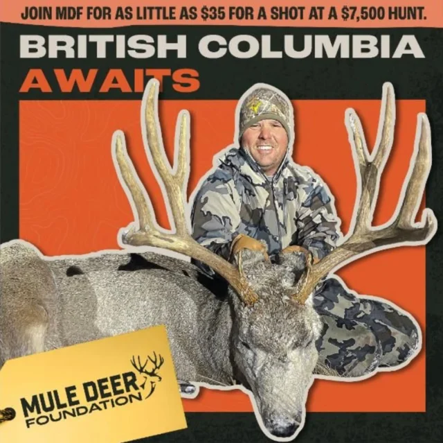We just launched our Bucks Beyond Borders Membership Drive! Win a 5 Day Mule Deer Hunt with Kifaru Outfitters in British Columbia 🇨🇦!!

With the purchase of a $35 ticket, you’ll be entered to win an unforgettable Western mule deer hunt, while also becoming a member of MDF! This membership drive is an opportunity to bridge organizations and conservation efforts with our friends north of the border! 

Once you buy your $35 dollar ticket, MDF will add you to our membership database and automatically enter you to win a mule deer hunt in Canada!

Enter to win at the link in our bio