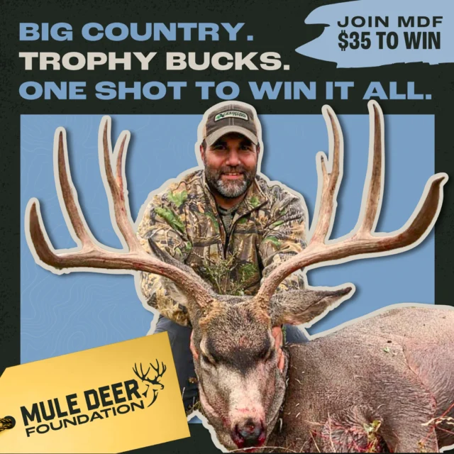 Win a 5-Day Mule Deer Hunt in British Columbia!

The Bucks Beyond Borders Membership Drive is live. With the purchase of a $35 MDF membership, you’ll be entered to win a guided mule deer hunt with Kifaru Outfitters in British Columbia!

This is more than a chance at a hunt. It’s an opportunity to support conservation across borders and connect with the landscapes and wildlife we fight to protect.

What’s included:
- 5 hunting days for one hunter
- Trophy fees for one mule deer buck
- 1x1 guide service
- Food, lodging, and field prep

Add-ons:
- Bring a buddy for $7,500
- Add black bear, whitetail, or Shiras moose for a trophy fee

Available hunt dates:
- Archery: September 1–10
- Rifle: September 10–November 10

Tickets available through July 5. Drawing held July 9 at 6:30 PM MST.
Enter now at the link in our bio!