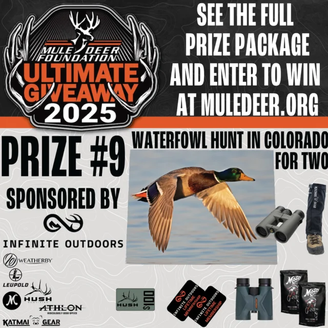 This week's Ultimate Giveaway highlight is prize package #9: The
 Infinite Outdoors CO Waterfowl Hunt for Two + Elite Gear Package!
 
Grab your hunting buddy and gear up for a waterfowl sporting experience in Colorado! This two-day unguided hunt for two, offers private access to top-tier habitat through Infinite Outdoors! 
 
This elite gear package includes two lifetime memberships to @infiniteoutdoors_usa , a  @weatherbyinc Sorix Shotgun, @athlonopticssales Midas Binocular set, @leupoldoptics BX-4 Pro Guide HD Binoculars, @@katmaigear Grizzly Gaiters, $100 @gethushin gift card, and 12 month supply of @drinkmoto coffee. Get all the details for the Ultimate Giveaway 2025 prize packages and enter to win by clicking the link in our bio!