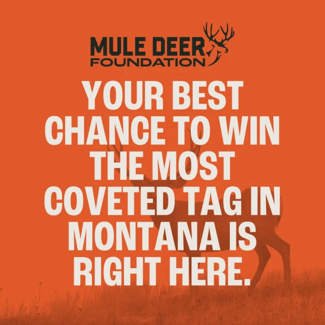Just under a month left to put your name in the hat for Montana’s most coveted mule deer tag. One lucky winner—resident or non-resident—will draw the 2025 Statewide Mule Deer License, valid in any unit (yes, even 270 👀).

Proceeds go straight to @montanafwp  to fund habitat and conservation work, so even if you don’t win, you’re giving back to the herds and the places we love.

Link in bio to enter.