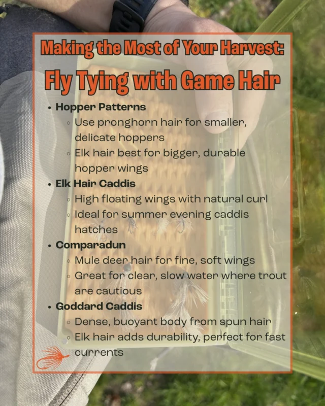 Our recent blog post by @fongeinthefield goes out to all the fly anglers and fly tiers out there! 🎣🪶

When our hunt is successful, we naturally focus on salvaging every bit of meat—but what about the hair? Game hair from pronghorns, mule deer, or elk can be amazing natural material for tying effective and unique fly patterns. Whether you’re a seasoned fly tier or know someone who is, this resource is definitely worth collecting.

From delicate Hopper Patterns to the classic Elk Hair Caddis, and the soft Comparadun to the buoyant Goddard Caddis, Cody breaks down how to use harvested game hair to craft flies that help you connect with trout on a whole new level.

Next time you’re out, toss a Ziploc in your kit and collect some hair—you’ll be amazed at how meaningful it feels to catch fish with flies tied from your own harvest.

Read the full post and get inspired to tie your own flies — link in bio!