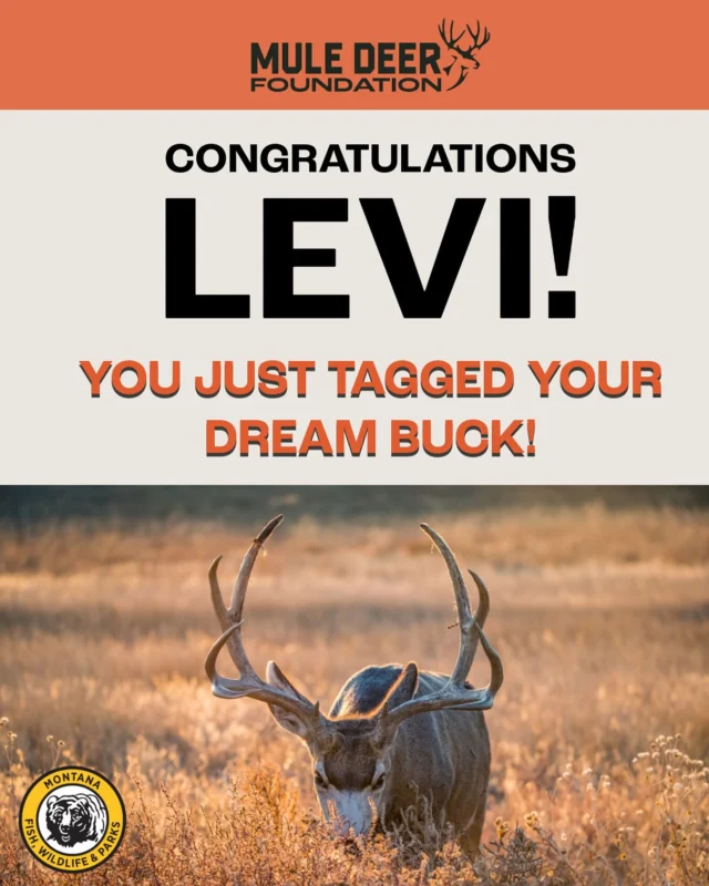 We have ourselves a winner for the Montana Big Game Tag Draw! This winner will get an antlered mule deer tag valid in any hunt unit in the state.
The Montana Statewide Mule Deer Tag goes to: Levi P. of Montana!  
 
MDF wants to thank everyone who entered and the state of Montana . Proceeds will go to @montanafwp to support their mule deer conservation and habitat work.
 
Happy Hunting in one of the best places on earth to hunt big game, Levi!