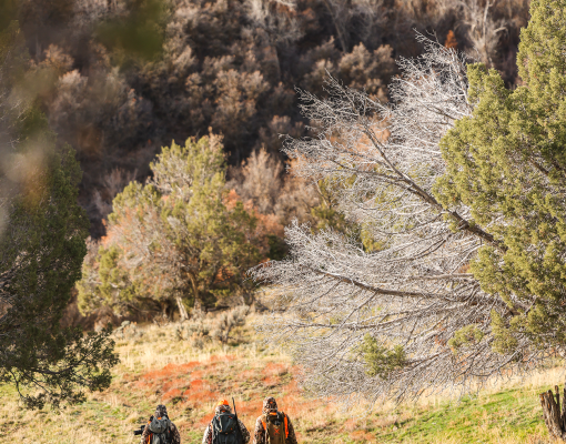 Hunters walking in a mountain meadow environment during autumn.