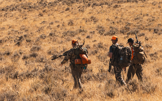 Hunters walking through tall grass in a sunny landscape.