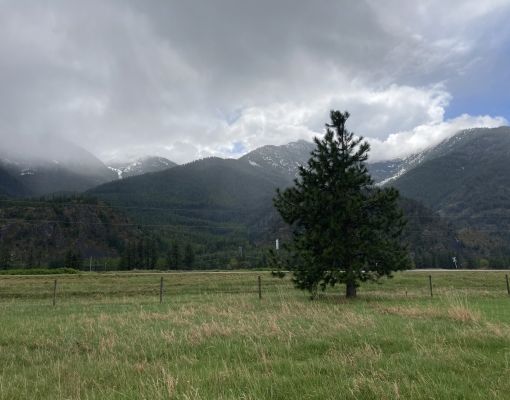 Mountain landscape featuring snow-capped peaks and green grassland.