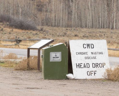 Chronic Wasting Disease head drop-off site for elk