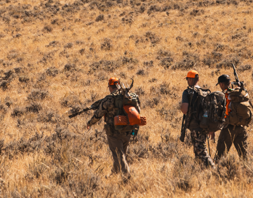 Hunters walking through tall grass in a sunny landscape.