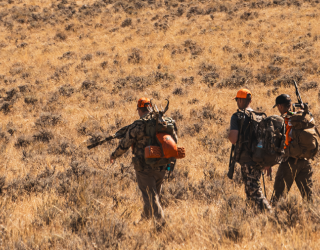 Hunters walking through tall grass in a sunny landscape.