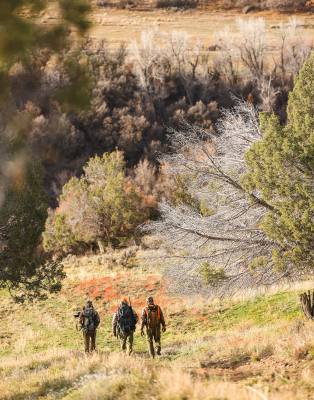 Hunters walking in a mountain meadow environment during autumn.
