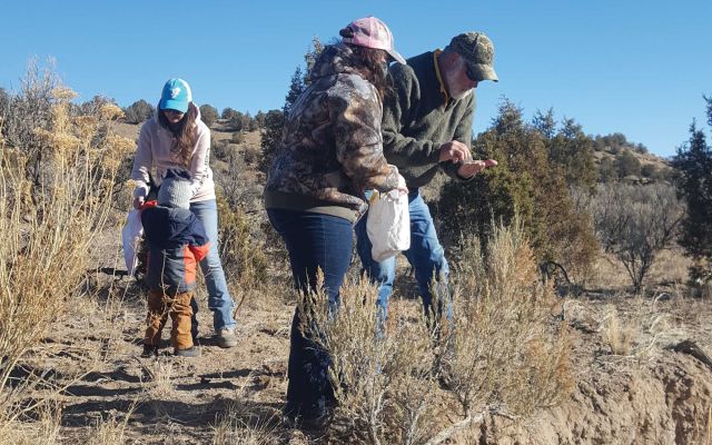Volunteers engaging in habitat restoration in a sagebrush ecosystem.