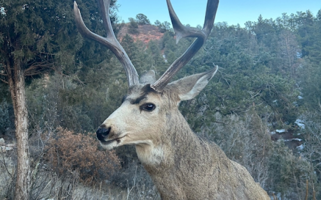 Great news! More hunting opportunities are coming!